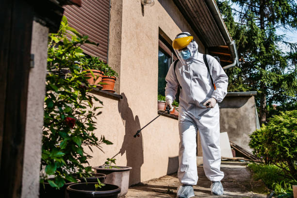 Best Exterminator Services  in Phenix City, AL