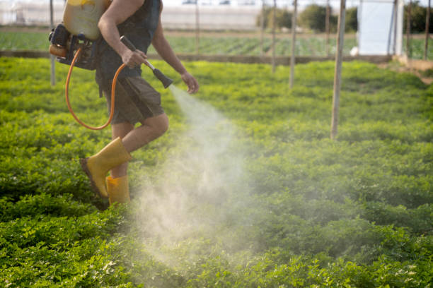 Best Pest Inspection Near Me  in Phenix City, AL