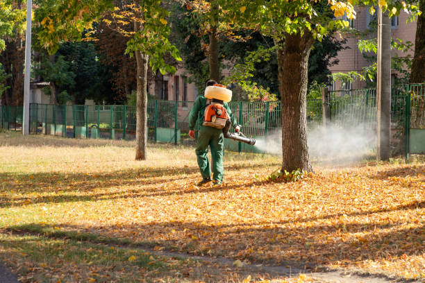 Best Pest Removal Services  in Phenix City, AL