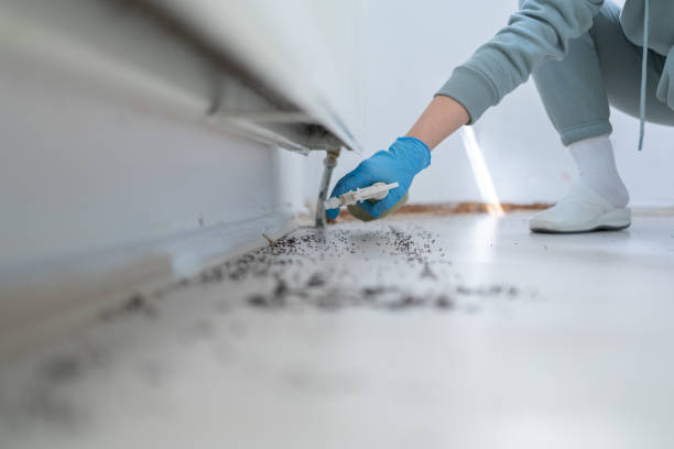 Wildlife Control Services in Phenix City, AL